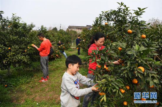 �����ã���1���ָ����˰��ռ�