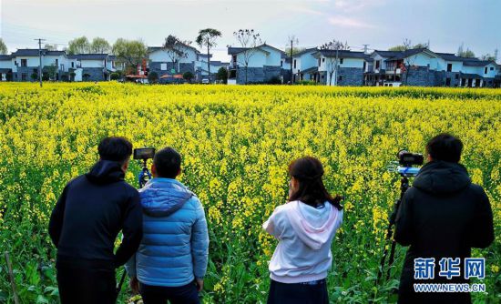 ������������̬����1���Ĵ����ԡ�����Ϊý ʵ���������