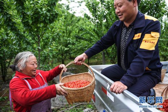 �����ã���1��������֦����ӣ�������������