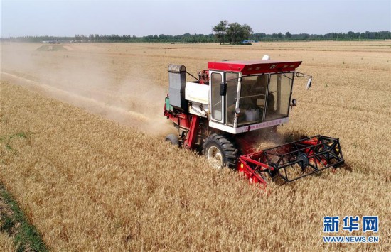 �����ã���3���ӱ��������ġ�æ����