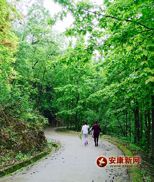 ���֪��