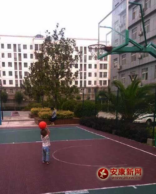 ���ƣ���Ͷ����