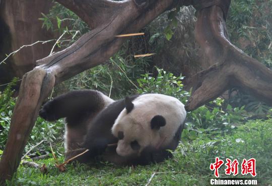 ͼΪ������������������������������� ��