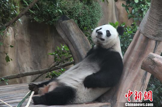 ͼΪ���������������������ȡ��������� ��