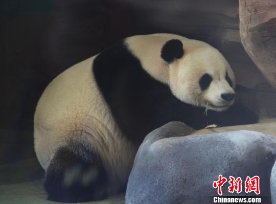 ͼΪ�����ա��ڴ��˯���������� ��