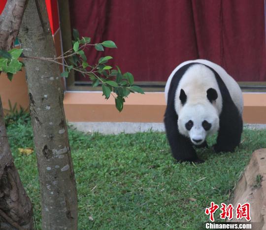 ͼΪ��������������ɢ������������ ��