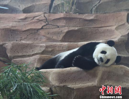 ͼΪ�ճԱ��ġ����ա������ȡ��������� ��