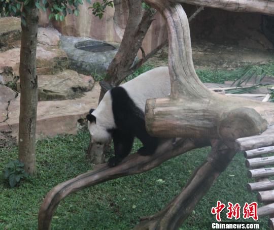 ͼΪ���������ߡ���ľ�š����������� ��