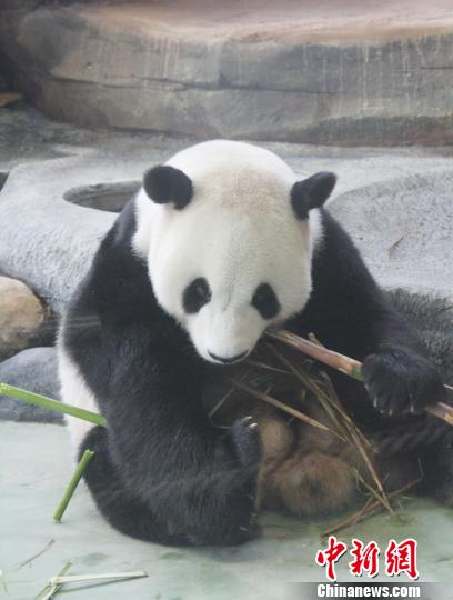 ͼΪ�����ա��ڳ����ӡ��������� ��