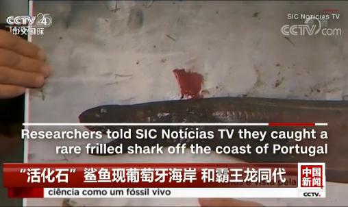 ���ʯ������������������ �Ͱ�����ͬ��