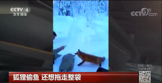 ����͵�� ������������