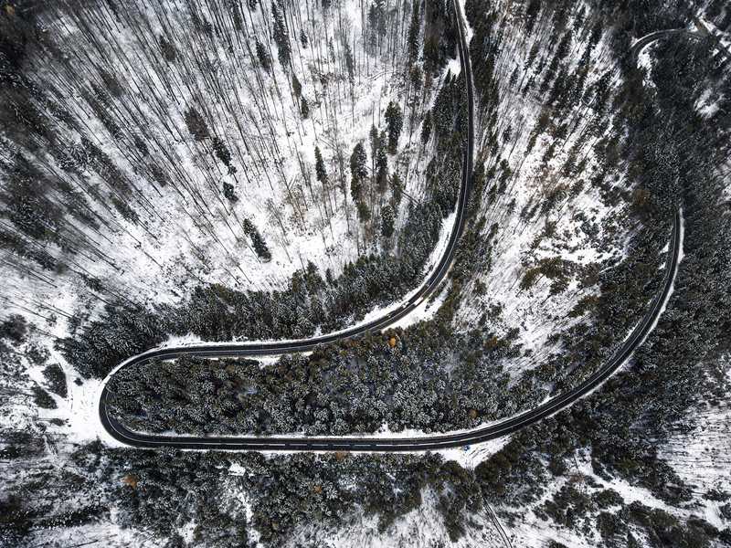 ����������ӰʦNicu Spinu����ŷ�޲���ά�ɡ�