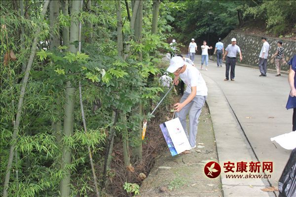 ��ʰ��ɫ���������������  �� ����  �㣩.JPG