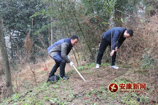 3��11�գ�᰸���ֱ����300���˲μ�����ֲ�����������ֲ������1400�á����ؼƻ������̻�����6.2��Ķ�����д�����