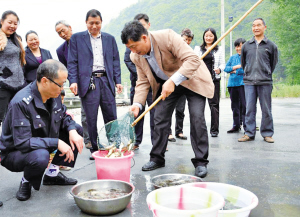 �׺Ӵ����������������������