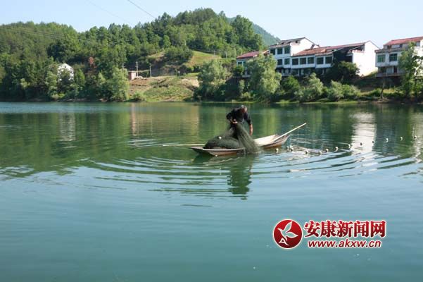 ��Ӱ   ������.jpg