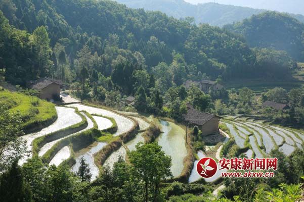 ��Ӱ  ������2.jpg