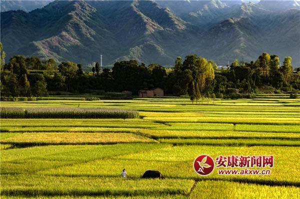 �º��� (4).jpg