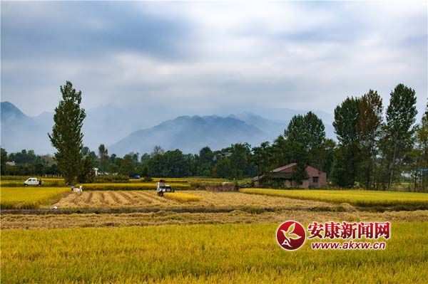 �º��� (3).jpg