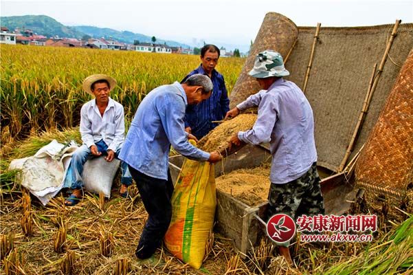 �������� (4).jpg