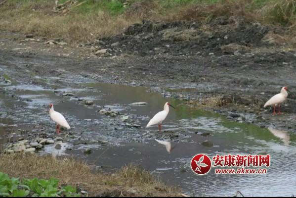 ������ɽʪ�س����q��Ϣ���ܵ�