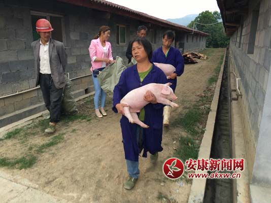 ��ƶ���������� (2).jpg