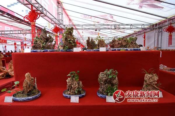 ǧ�˰�̬�ĺ�����ʯ (4).jpg