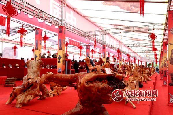 ��̬������ذ͸��� (3).jpg