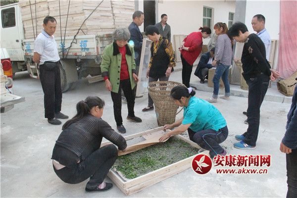 ��ũ���������簴Ʊ��ȡ���֣���С�Ϲ������ϲ��޲����� (5).jpg