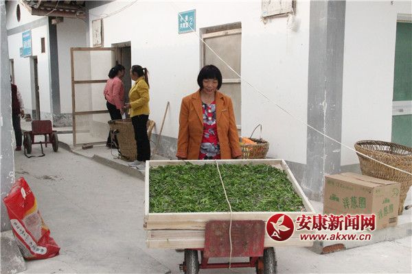 ��ũ���������簴Ʊ��ȡ���֣���С�Ϲ������ϲ��޲����� (2).jpg