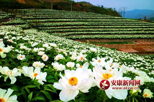 ���ٱ� �㣨4.1��.jpg