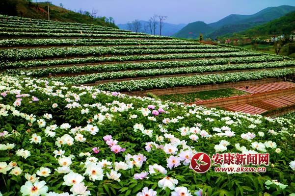 ���ٱ� �㣨4.01��.jpg