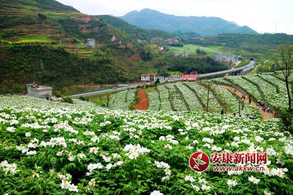 ���ٱ�  ��.jpg