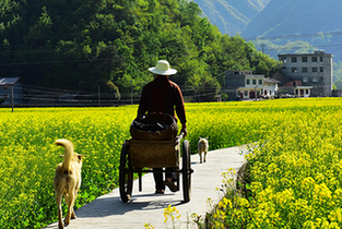 �������ϣ��˼�����ˮȪƺ