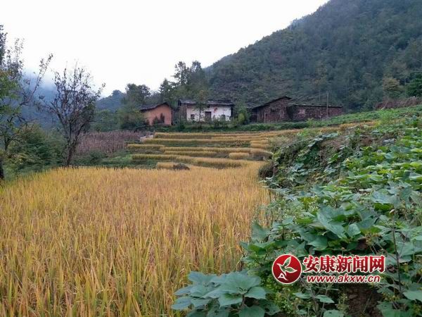 ������С mmexport1508136770513.jpg