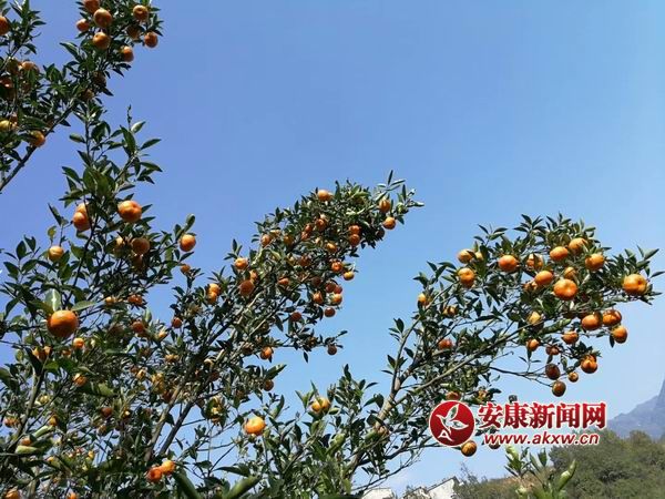 ������С mmexport1509844149357.jpg