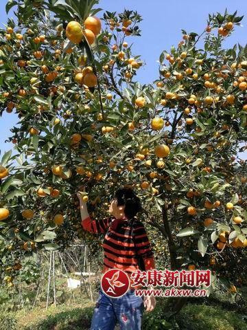 ������С mmexport1509844152583.jpg