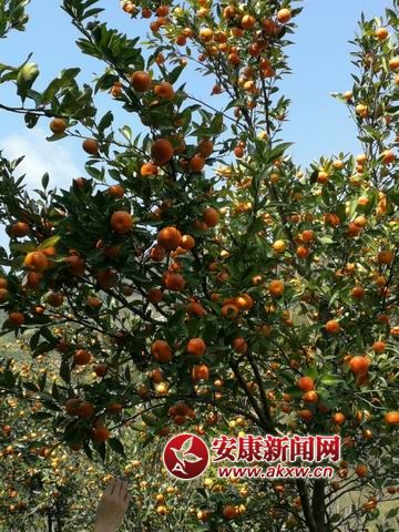 ������С mmexport1509844146036.jpg