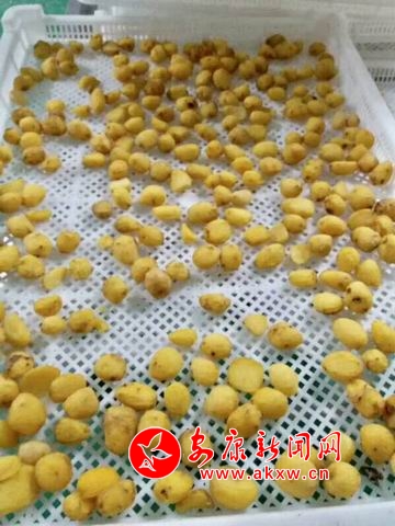 ������С 9.jpg