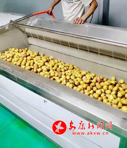 ������С 1.jpg