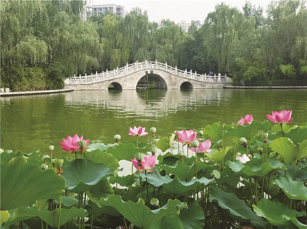  �綯��������ޣ���ͼ��