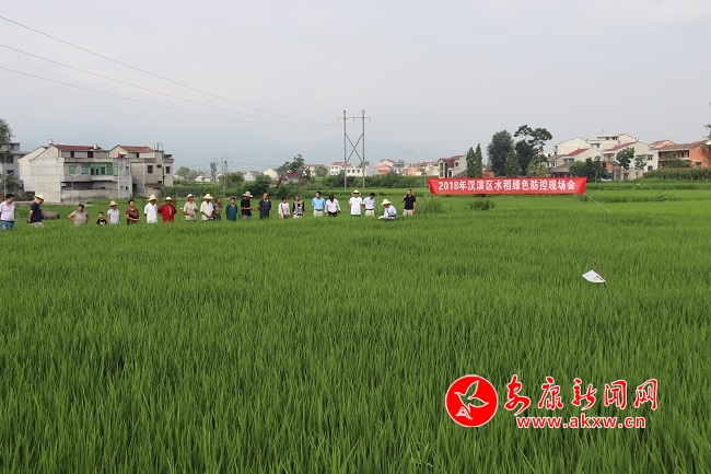 ���˻�������  ������æ�ɷ�1.JPG