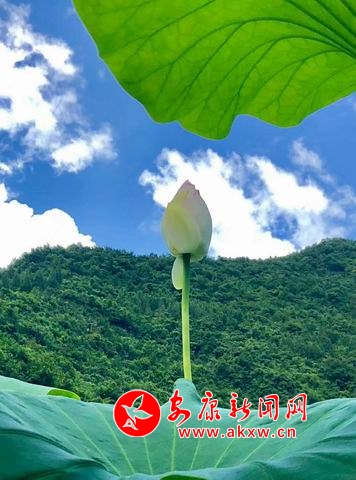 ������С ΢��ͼƬ_20180723112425.jpg