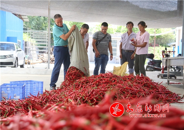 ��ɫ����