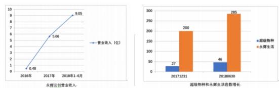 被低估的永辉云创 正在成为新零售行业创新的独角兽