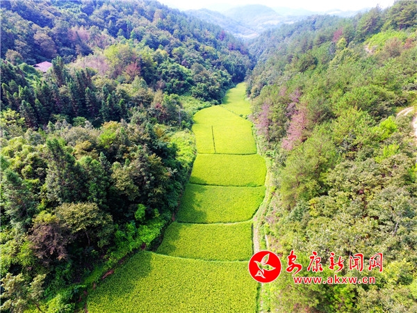 2.���˽⣬����ĵ���������ˮ�ȣ��ǵ��ȵ�һ�֡�ֻ�������ܵ����������ƺ�Ӱ�죬���ڹ�ȵ����ˮ��ȫȡ����ɽ�־�����ˮ�ʺ�