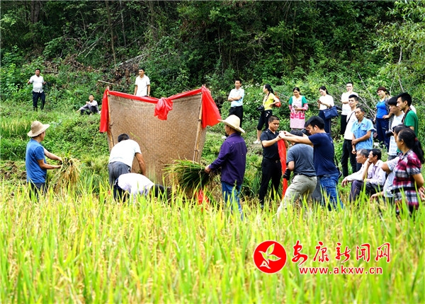 1.9��5�գ�λ�ڰ�����ƽ����������Ů�ɽ����񹵵�320Ķԭ��̬ũ����ʽ�����ո��ʮ���������ͷ��������ȣ��ֳ���