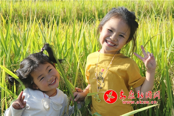 �������ﻰ���� ᰸޻���ߢ��ʵ