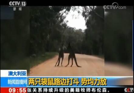 �Ĵ���·�ߴ��ƾ�����,���ֲ���