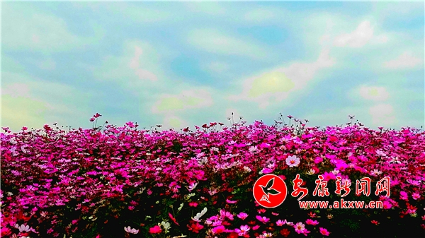 ����С��